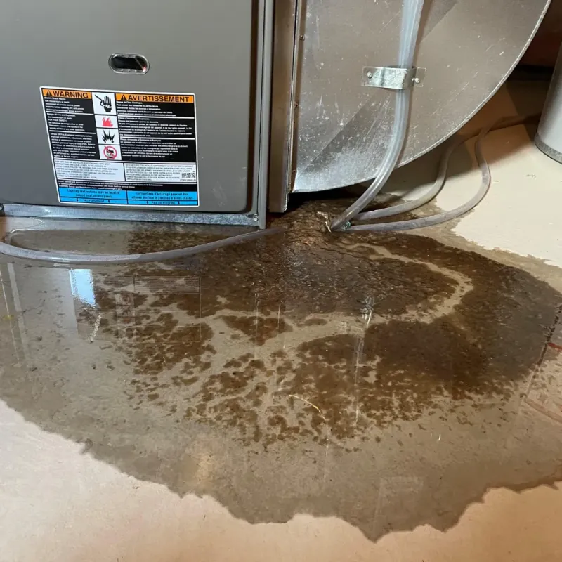 Appliance Leak Cleanup in River Oaks, TX